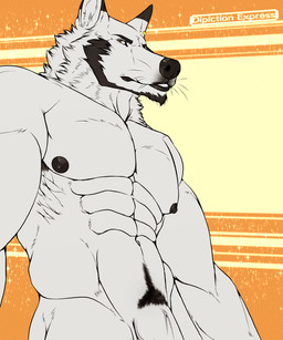 anthro armpit_hair beard black_body black_fur black_nipples black_nose body_hair ear_piercing facial_hair facial_tuft flaccid fur genitals happy_trail humanoid_genitalia humanoid_penis jewelry looking_aside looking_at_viewer low-angle_view male multicolored_body multicolored_fur muscular muscular_anthro muscular_male nipples nude orange_background pattern_background pecs penis penis_base piercing pubes simple_background solo tuft vein veiny_penis whiskers white_body white_fur yellow_background depictionexpress alfonso_(depictionexpress) canid canine canis mammal wolf 5:6 hi_res