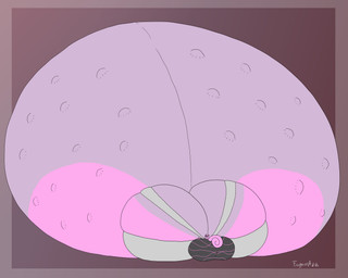 anthro belly big_belly big_breasts big_butt black_bottomwear black_clothing black_nose black_pants black_sclera black_yoga_pants border bottomwear bra breasts buckteeth butt clothing female fetal_movement grey_body grey_border grey_bra grey_clothing grey_inner_ear grey_sports_bra grey_underwear hair huge_belly huge_breasts huge_butt hyper hyper_belly hyper_breasts hyper_butt hyper_pregnancy immobile looking_at_viewer looking_back looking_back_at_viewer multicolored_body pants pink_body pink_ears pink_hair pink_tail pregnant pregnant_anthro pregnant_female rear_view red_background simple_background smile smiling_at_viewer solo sports_bra tail teeth tight_clothing two_tone_body underwear white_eyes yoga_pants froggerest susie_(reathe) mammal rodent sciurid tree_squirrel 2025 5:4 absurd_res colored digital_media_(artwork) flat_colors hi_res signature