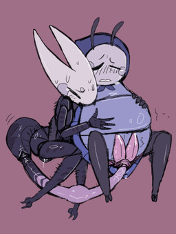 2_penises animal_genitalia animal_penis anthro belly belly_expansion bloated bodily_fluids dominant dominant_female duo egg egg_insertion expansion female fingering genital_fluids genitals hemipenes male male/female multi_genitalia multi_penis nude oviposition ovipositor ovipositor_penetration penetration penis precum pregnant pregnant_male slit_penetration slit_play submissive submissive_male tears vaginal vaginal_fingering splewdles hollow_knight_(franchise) team_cherry hornet_(hollow_knight) quirrel_(hollow_knight) arthropod 2026 hi_res