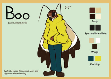4_arms antennae_(anatomy) anthro black_eyes blue_clothing bottomwear brown_body clothing denim denim_bottomwear denim_clothing green_background hoodie jeans male multi_arm multi_limb orange_background pants simple_background solo text topwear wings yellow_clothing unusualboo54 boo_(unusualboo54) arthropod insect lepidopteran moth 2022 colored english_text model_sheet