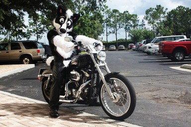 anthro chaps clothing costume fursuit headlight looking_at_viewer male motorcycle real solo vehicle unknown_artist canid canine canis domestic_dog husky mammal nordic_sled_dog spitz 3:2 grandfathered_content source_request