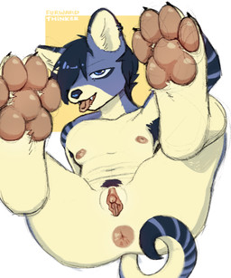 alternative_fashion andromorph anthro anus armpit_hair bangs big_clitoris blue_eyes body_hair butt clitoris ear_piercing fangs feet fluffy_paws foot_focus front_view fur genitals geometric_background goth hair humanoid_genitalia humanoid_vulva inner_ear_fluff intersex landing_strip looking_at_viewer moobs nipples nude one_eye_obstructed pawpads piercing presenting presenting_hindquarters pubes short_hair simple_background smile solo stripes tail teeth text tongue tongue_out toony tuft vulva conditional_dnp furward_thinker canid canine mammal 2025 artist_name colored digital_media_(artwork) digital_painting_(artwork) hi_res painting_(artwork) portrait shaded trans_(lore) trans_man_(lore)