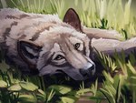 amber_eyes ambiguous_gender feral front_view fur grass grey_body grey_fur grey_nose inner_ear_fluff lying lying_on_ground on_front on_ground outside plant solo tuft whisker_spots whiskers werewolfdegenerate canid canine canis mammal wolf 4:3 absurd_res bust_portrait hi_res portrait