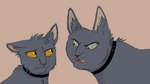 2010 ambiguous_gender angry brother_(lore) brothers_(lore) collar domestic_cat duo eye_contact eyebrows felid feline felis feral frown fur graystripe64 green_eyes grey_body grey_fur inner_ear_fluff julius_(varjak_paw) looking_at_another male_(lore) mammal mesopotamian_blue open_mouth sibling_(lore) simple_background teeth tuft varjak_paw varjak_paw_(character) whiskers yellow_eyes young young_feral