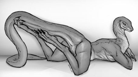 anthro anus big_tail butt claws curling_toes earhole feet female finger_claws genitals glistening glistening_body glistening_butt long_legs long_neck long_tail looking_at_viewer lying nude on_front paws presenting presenting_anus presenting_hindquarters presenting_vulva shadow smile snout tail toe_claws vulva gummi_art mythology riven_(atrumpet) dragon mythological_creature mythological_scalie scalie 16:9 digital_drawing_(artwork) digital_media_(artwork) digital_painting_(artwork) greyscale hi_res monochrome painting_(artwork) widescreen