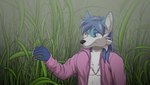 16:9 absurd_res anthro blue_body blue_eyes blue_fur blue_hair canid canine clothing fog fox fur grass hair hi_res jf-049 john_frostfox looking_away male mammal outside plant solo sweater tall_grass topwear white_body white_fur widescreen