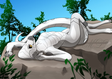anthro breasts featureless_breasts female looking_at_viewer lying non-mammal_breasts nude outside rock scales solo sunbathing ventral_scales misterluk false_water_cobra reptile scalie snake absurd_res hi_res