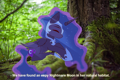1_horn blue_hair crescent_moon_(marking) cutie_mark day eyelashes eyeshadow feathered_wings feathers female female_feral feral forest hair highlights_(coloring) hooves horn makeup markings moon_(marking) nature_background plant purple_body purple_eyeshadow purple_highlights purple_hooves purple_horn purple_wings quadruped side_view sleeping solo sparkles sparkling_hair spiral_horn text tree wings nnalyart friendship_is_magic hasbro my_little_pony mythology nightmare_moon_(mlp) equid equine mammal mythological_creature mythological_equine winged_unicorn absurd_res digital_drawing_(artwork) digital_media_(artwork) english_text hi_res mixed_media paintstorm_(artwork) photography_(artwork) shaded