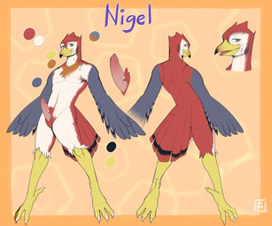 4_toes animal_genitalia anisodactyl anthro avian_feet beak claws color_swatch countershading erection feather_hands feathers feet genital_slit genitals grey_body grey_eyes grey_feathers looking_at_viewer male open_mouth orange_background pecs penis pink_penis red_body red_feathers scutes simple_background solo text toe_claws toes wings exsys nigel_(exsys) avian 2021 character_name digital_media_(artwork) flat_colors full-length_portrait hi_res model_sheet portrait