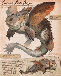 amber_eyes ambiguous_gender black_claws brown_body brown_scales claws countershade_face countershade_tail countershade_torso countershading dewlap_(anatomy) dorsal_frill feet feral frill_(anatomy) grass looking_aside lying membrane_(anatomy) membranous_wings mouth_closed multicolored_body open_mouth orange_membrane paper_background plant pupils quadruped red_tongue rock scales side_view simple_background solo species_information spread_wings tail tail_frill tan_background tan_body tan_countershading text toes tongue tongue_showing webbed_feet webbed_hands wings christopher_stoll aquatic unknown_species digital_drawing_(artwork) digital_media_(artwork) english_text full-length_portrait hi_res portrait species_name