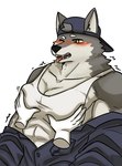 abs anthro blush clothing disembodied_hand fur grey_body grey_fur hair hat headgear headwear male multicolored_body muscular muscular_male pec_grab pecs shirt simple_background solo tank_top teeth tongue topwear two_tone_body white_background yellow_eyes northwoooof mech_(northwoooof) canid canine canis mammal wolf hi_res