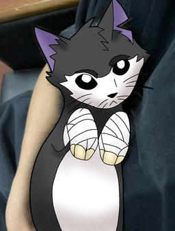 bandaged_hand black_body black_fur feral fur male paws photo_background solo whiskers white_eyes crowundeadcat crow_(thedeathcrow) domestic_cat felid feline felis mammal meme mixed_media photography_(artwork)