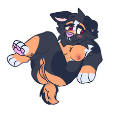 anthro blush breasts female fwulffy genitals legs_up nipples pawpads pink_pawpads solo vulva wulf_fy wulffy wulffy0 australian_shepherd canid canine canis domestic_dog herding_dog mammal pastoral_dog sheepdog 1:1 archived_source hi_res