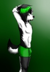 anthro black_nose bottomwear bulge clothed clothing green_hair hair male pants solo sticks tail tongue tongue_out topless underwear maron_the_husky canid canine canis domestic_dog husky mammal nordic_sled_dog spitz