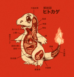 ambiguous_gender anatomy bone brain charmander feral fire japanese_text lava nintendo plain_background pokémon red_background solo text unknown_artist video_games
Rating: Safe
Score: 4
User: slyroon
Date: December 10, 2014 ambiguous_gender anatomy bone brain charmander feral fire japanese_text lava nintendo plain_background pokémon red_background solo text unknown_artist video_games
Rating: Safe
Score: 4
User: slyroon
Date: December 10, 2014