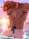 abs anthro armpit_hair barazoku biceps big_muscles biped body_hair boxers_(clothing) boxers_only brown_body brown_fur clothed clothing fur male muscular muscular_anthro muscular_male partially_submerged pecs shirtless_anthro shirtless_male solo tenting topless underwear underwear_only wet wet_body nomifuki equid equine horse mammal 2024 absurd_res hi_res