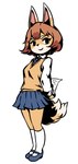 anthro blue_bottomwear blue_clothing blue_footwear blue_shoes blue_skirt bottomwear brown_hair clothed clothing female footwear hair long_socks looking_at_viewer shoes simple_background skirt solo standing white_background unknown_artist canid canine mammal