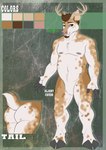 anthro antlers horn male solo text thehuntingwolf cervine deer mammal absurd_res english_text hi_res model_sheet