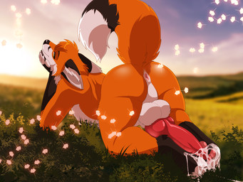 animal_genitalia animal_penis anthro anus backsack balls big_penis bodily_fluids butt canine_genitalia canine_penis cum cum_on_feet erection feet genital_fluids genitals grass head_tuft inside knot knotted_penis looking_back lying male on_front pawpads paws penis plant presenting presenting_anus presenting_hindquarters presenting_penis raised_tail rear_view sky solo tail tuft lawkie canid canine fox mammal red_fox true_fox 4:3 hi_res