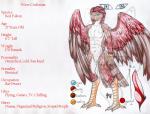 anthro bodily_fluids claws erection feathered_wings feathers genital_fluids genitals looking_at_viewer male penis precum smile smirk solo text wings nekromantiafox javelin_nightpaw sakuri_rainne wave_curlenian avian bird falcon falconid english_text hi_res model_sheet