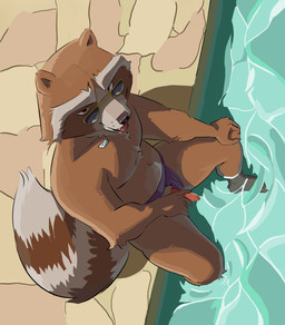 animal_genitalia animal_penis anthro bedroom_eyes brown_body brown_fur clothed clothing clothing_aside erection eyewear feet fingers fur genitals half-closed_eyes looking_at_viewer male narrowed_eyes outside partially_submerged penis poolside presenting presenting_penis seductive sitting smile solo spread_legs spreading sunglasses swimming_pool swimwear swimwear_aside tail teeth toes tongue tongue_out topless topless_anthro topless_male water cashart guardians_of_the_galaxy marvel rocket_raccoon mammal procyonid raccoon digital_media_(artwork) hi_res
