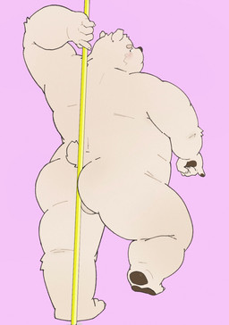 anthro backsack balls blush butt genitals humanoid_hands kemono male overweight overweight_male pole simple_background solo stripper_pole t_wais002 bear mammal polar_bear ursine 2023 absurd_res hi_res