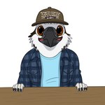 anthro beak clothed clothing female fishing fishing_hat flannel hat headgear headwear open_clothing open_shirt open_topwear shirt solo text text_on_clothing text_on_hat text_on_headwear topwear fish_birb meme_clothing women_want_me_fish_fear_me lizzy_(fish_birb) accipitriform avian bird fish marine osprey 1:1 english_text hi_res meme