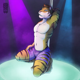 anthro athletic athletic_male black_body black_fur black_stripes bottomwear brown_hair bulge clothed clothing cosplay fur green_eyes hair hand_behind_head hand_on_leg kneeling logo looking_at_viewer male male_anthro mostly_nude_male navel on_one_knee orange_body orange_fur paws pecs pink_nose pole purple_bottomwear purple_clothing purple_shorts shirtless_male short_hair shorts shorts_only slight_smile solo spotlight stripes stripper_pole tight_clothing topless white_body white_fur zootopia_shorts d3mo disney zootopia demo_(d3mo) tiger_dancer_(zootopia) felid mammal pantherine tiger 1:1 2016 artist_logo hi_res