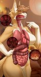 anthro blurred_background bodily_fluids breasts brown_hair chain duo extreme_size_difference eyes_closed featureless_breasts featureless_crotch female fully_inside fur hair hand_on_hip inside inside_stomach internal macro male male/female micro navel nude nude_anthro nude_female orange_body orange_eyelids orange_fur pleased relaxing sitting size_difference standing stomach_acid tan_body tan_fur vore white_body white_fur allsonwa canid canine fox mammal absurd_res hi_res