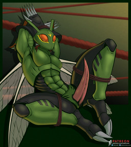 2_toes abs anthro arms_above_head bodily_fluids bound erection feet genital_fluids genitals insect_wings male muscular muscular_male penis precum rope solo tapering_penis toes wings iudicium86 bandai_namco digimon arthropod digimon_(species) insect stingmon hi_res