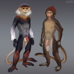 anthro balls black_body brown_body duo foreskin fur genitals hair humanoid_genitalia humanoid_penis looking_at_viewer male nude penis pose presenting presenting_penis simple_background standing tail lostgoose haplorhine mammal monkey primate 1:1 2022 hi_res