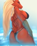 anthro bikini breasts butt clothed clothing female fur hair hand_on_leg looking_at_viewer looking_back looking_back_at_viewer non-mammal_breasts side_boob simple_background solo swimwear tuft two-piece_swimsuit water thedeadtimezone nintendo pokemon avian bird blaziken generation_3_pokemon pokemon_(species) absurd_res hi_res