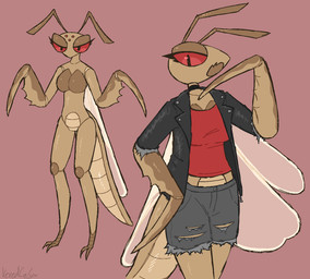 4_wings antennae_(anatomy) anthro arthropod_abdomen back_wings bottomwear breasts brown_body claws clothed clothing compound_eyes exoskeleton eyelashes eyeliner fangs featureless_breasts featureless_crotch female female_feral feral insect_wings looking_at_viewer makeup mantis_arms multi_wing no_hands nude ocellis open_mouth raptorial_(anatomy) red_eyes segmented_arms segmented_body segmented_tail shorts simple_background solo spikes spikes_(anatomy) teeth toe_claws topwear torn_bottomwear torn_clothing torn_shorts torn_sleeves torn_topwear wings vexedcalyx maeve_(vexedcalyx) arthropod insect mantis colored digital_drawing_(artwork) digital_media_(artwork) hi_res model_sheet