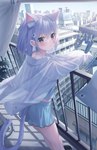 balcony blue_hair blush bottomwear city clothing female hair shirt shorts sky solo topwear translucent translucent_clothing young jimmy_madomagi animal_humanoid cat_humanoid felid felid_humanoid feline feline_humanoid humanoid mammal mammal_humanoid 2022 absurd_res hi_res