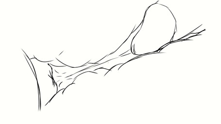 anthro bodily_fluids cervical_contact cervix duo erection female female_penetrated genital_fluids genitals internal internal_vaginal male male/female male_penetrating male_penetrating_female penetration penile penile_penetration penis penis_in_vagina plap sex simple_background sketchy sound_effects vaginal vaginal_penetration wet zoarblu mizu_(zoarblu) avali 16:9 2d_animation animated digital_media_(artwork) frame_by_frame guide_lines hi_res short_playtime sketch sound video widescreen
