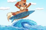 animated blush brown_body brown_eyes brown_fur cloud donghu eevee eyelashes feral fur generation_1_pokemon looking_at_viewer nintendo outside pawpads pokemon pokemon_(species) ruff sea short_playtime sky solo surfboard surfing tongue tongue_out vehicle water watercraft wave