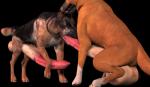 3d alpha_channel animal_genitalia balls big_balls big_penis brown_fur canine dog eyes_closed feline_penis fellatio feral fur gay hyper male mammal oral oral_sex penis plain_background sex tapiko transparent_background
Rating: Explicit
Score: -9
User: DSTakumiDerp
Date: March 05, 2014