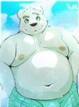 anthro belly big_belly black_nose blush bottomwear clothing kemono male moobs navel nipples overweight overweight_male shorts solo white_body menmen_kesinn bear mammal 2022 3:4