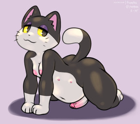anthro black_body black_fur butt dipstick_tail erection fur genitals humanoid_genitalia humanoid_penis male markings multi_nipple multicolored_tail nipples penis slightly_chubby solo tail tail_markings thick_thighs frumples animal_crossing nintendo patreon punchy_(animal_crossing) domestic_cat felid feline felis mammal 2019 digital_media_(artwork)