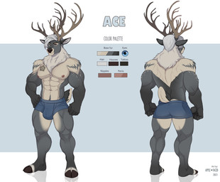 abs anthro antlers blue_bottomwear blue_clothing blue_eyes bottomwear brown_antlers bulge clothed clothing color_swatch front_view grey_body hair horn looking_at_viewer male male_anthro mouth_closed muscular muscular_anthro muscular_male pecs rear_view short_hair solo standing text topless white_body white_hair apple-faced ace_(mofurrx) deer mammal 2021 artist_name dated english_text hi_res model_sheet