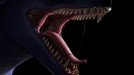 ambiguous_gender black_background blue_body blue_scales bodily_fluids fangs feral mouth_shot obscured_eyes open_mouth red_tongue saliva saliva_string scales simple_background solo teeth tongue unsigned acidic 16:9 3d_(artwork) digital_media_(artwork) widescreen