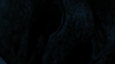 balls balls_expansion big_balls big_penis expansion genital_expansion genitals growth huge_balls huge_penis hyper hyper_balls hyper_genitalia hyper_penis macro male penis penis_expansion solo mietere halo_(series) microsoft xbox_game_studios alien sangheili 16:9 3d_(artwork) 3d_animation animated digital_media_(artwork) long_playtime sound source_filmmaker_(artwork) video widescreen