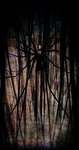 branch clothed clothing creepy creepy_face faceless_character forest forest_background horror_(theme) long_arms long_legs long_limbs looking_at_viewer male nature nature_background necktie outside plant solo suit tentacles tree piratecashoo creepypasta slenderman humanoid