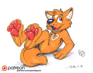 anthro brown_eyes cheek_tuft facial_tuft fur glistening glistening_eyes logo male markings nude open_mouth open_smile orange_body orange_fur orange_tail pawpads red_pawpads red_tongue simple_background smile solo tail text tongue tuft white_background white_markings young young_anthro young_male pandapaco canid canine mammal 2017 artist_logo signature url