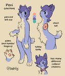 anthro collar ear_piercing female paws piercing pronouns solo text teebsly peri_(teebsly) domestic_cat felid feline felis mammal english_text model_sheet signature