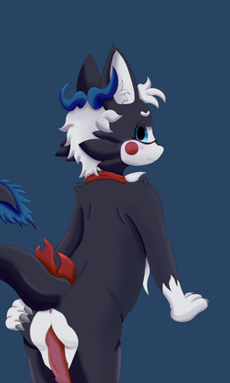 anthro anus black_body black_fur blue_eyes blue_horn blush butt claws collar erection fur genitals hair horn male nude penis presenting red_collar solo tail lawealewd mythology lawealewd_(character) dragon mythological_creature mythological_scalie scalie 2026 3:5 absurd_res hi_res
