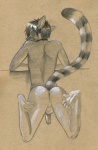 anthro anus backsack balls butt circumcised feet flaccid genitals humanoid_genitalia humanoid_penis looking_at_viewer looking_back male nude penis prehensile_feet presenting presenting_anus raised_tail simple_background solo tail toes tush_(artist) joel_the_lemur lemur mammal primate ring-tailed_lemur strepsirrhine 2011 hi_res traditional_media_(artwork)