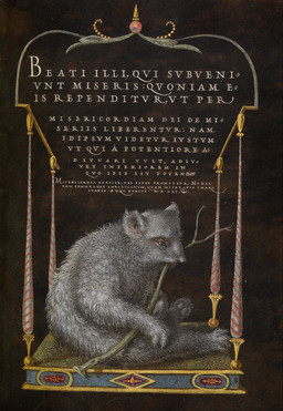 ambiguous_feral ambiguous_gender bite black_background branch feral fur grey_body grey_fur object_in_mouth side_view simple_background sitting solo text twig twig_in_mouth joris_hoefnagel mammal pilosan sloth xenarthran 16th_century absurd_res ancient_art hi_res latin_text painting_(artwork) traditional_media_(artwork) traditional_painting_(artwork) traditional_watercolor_(artwork) translation_request watercolor_(artwork)