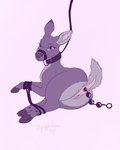 anal anal_beads anal_penetration animal_genitalia animal_vulva anus bdsm bondage bound butt collar female female_penetrated feral feral_bondage feral_penetrated fur genitals looking_at_viewer looking_back penetration presenting sex_toy simple_background solo submissive submissive_female submissive_feral tail vulva squiggleflop cervine deer mammal digital_media_(artwork) hi_res