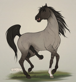 animal_genitalia animal_penis balls black_hair black_tail equine_genitalia equine_penis erection feral fur genitals grey_body grey_fur hair hooves licking licking_lips male medial_ring on_grass penis quadruped solo standing tail tongue tongue_out vein veiny_penis fenn.perrox nero_(fenn.perrox) equid equine horse mammal hi_res watermark